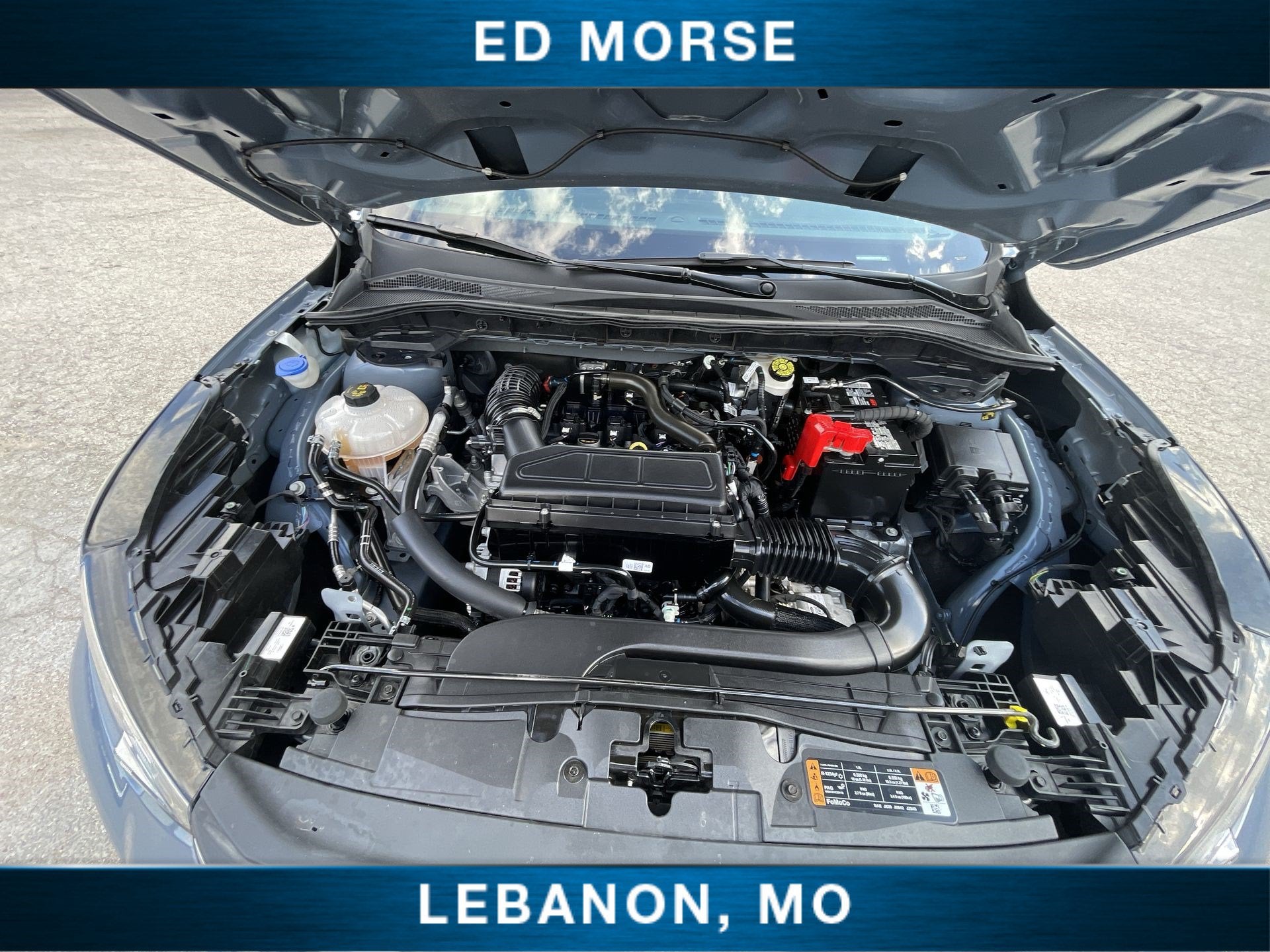 2024 Ford Escape ST-Line